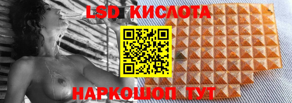 ЛСД экстази ecstasy  Вход с VPN  Бердск  ЛСД экстази ecstasy 