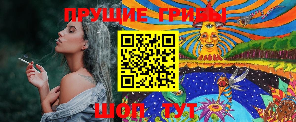 Галлюциногенные грибы Psilocybe Бердск