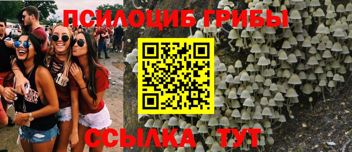 Галлюциногенные грибы Psilocybine cubensis  купить закладку  Бердск  Вход с VPN 